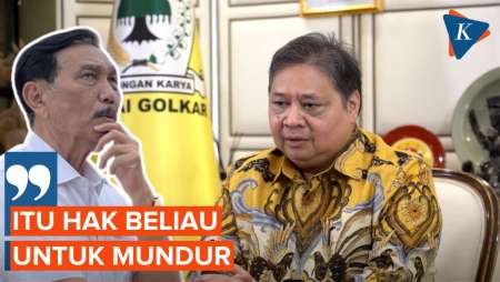 Airlangga Mundur dari Jabatan Ketum Golkar, Luhut: Itu Hak Beliau