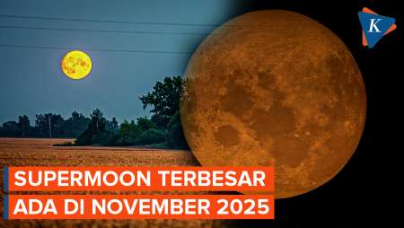 Besok Ada Supermoon Emas November 2025, Purnama Terbesar Sepanjang Tahun