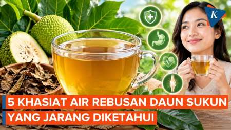 5 Manfaat Minum Air Rebusan Daun Sukun untuk Tubuh
