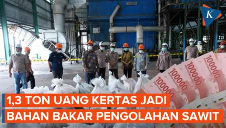 1,3 Ton Uang Kertas Dijadikan Bahan Bakar CPO di Bangka Belitung