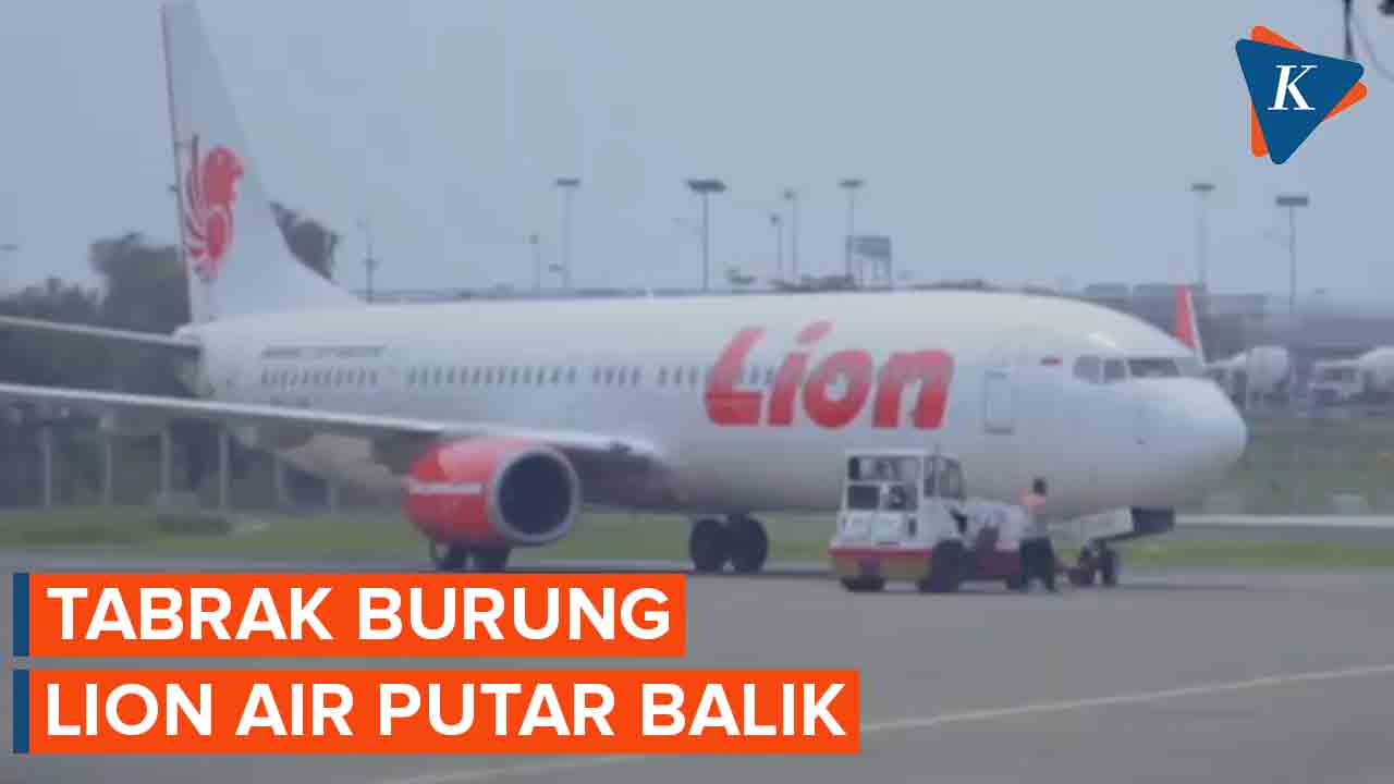 Tabrak Burung, Lion Air Tujuan Makassar Kembali Ke Surabaya