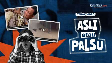 Tebak Video: Asli Atau Palsu?