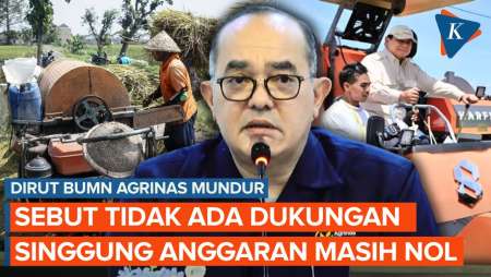 Alasan Dirut BUMN Agrinas Mundur Usai 6 Bulan Menjabat, Singgung Anggaran Nol
