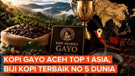 Biji Kopi Aceh Gayo Terbaik Di Asia, Nomor 5 Di Dunia