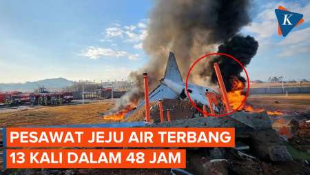 Fakta Terbaru Kecelakaan Pesawat Jeju Air, Sudah Terbang 13 Kali dalam 48 Jam