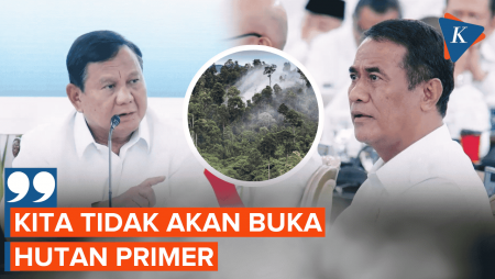 Respons Amran Ditanya Presiden Prabowo Soal Buka Hutan Primer Demi Produksi Pangan