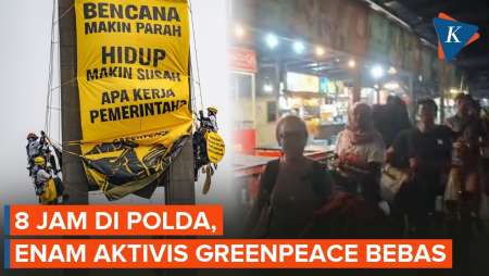 Enam Aktivis Greenpeace Akhirnya Dibebaskan, Tak Ada Unsur Pidana