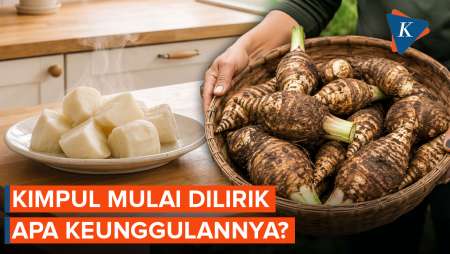 Mengenal Kimpul, Umbi Lokal dengan Kandungan Gizi Melimpah