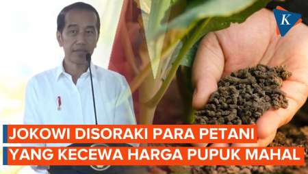 Momen Jokowi Disoraki Petani, Ungkap Rusia-Ukraina Bikin Pupuk Mahal