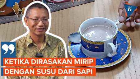 Apa Itu Susu Ikan? Ini Penjelasan Produsen