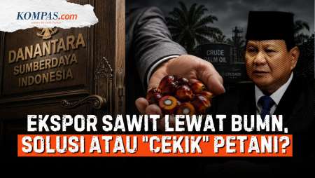 "Distorsi" Ekspor Sawit Lewat BUMN: Solusi Kebocoran Atau "Petaka" Harga Pasar?