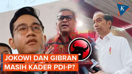 Kata Hasto soal Status Jokowi dan Gibran di PDI-P