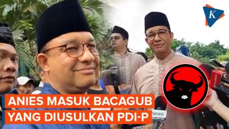 Ahok Benarkan Anies Baswedan yang Diusulkan DPP PDI-P untuk Pilkada Jakarta 2024