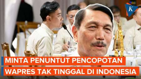 Luhut ke Pihak yang Minta Gibran Dicopot: Jangan Tinggal di Indonesia!