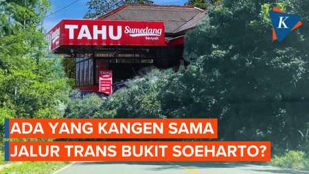 Ada Yang Kangen Sama Jalur Trans Bukit Soeharto?