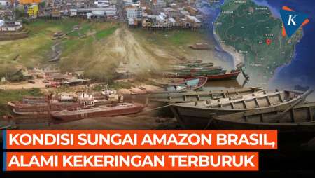 Penampakan Kekeringan di Amazon, Terburuk dalam 70 Tahun Terakhir