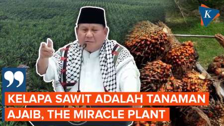 Prabowo: Kelapa Sawit Adalah Tanaman Ajaib, The Miracle Plant