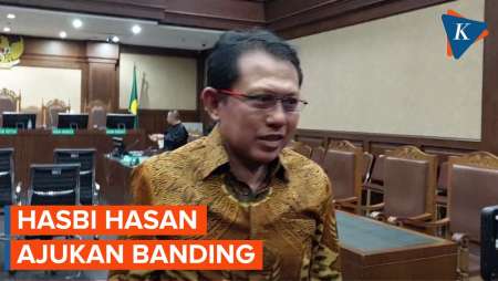 Tak Terima Divonis 6 Tahun Penjara, Hasbi Hasan Ajukan Banding
