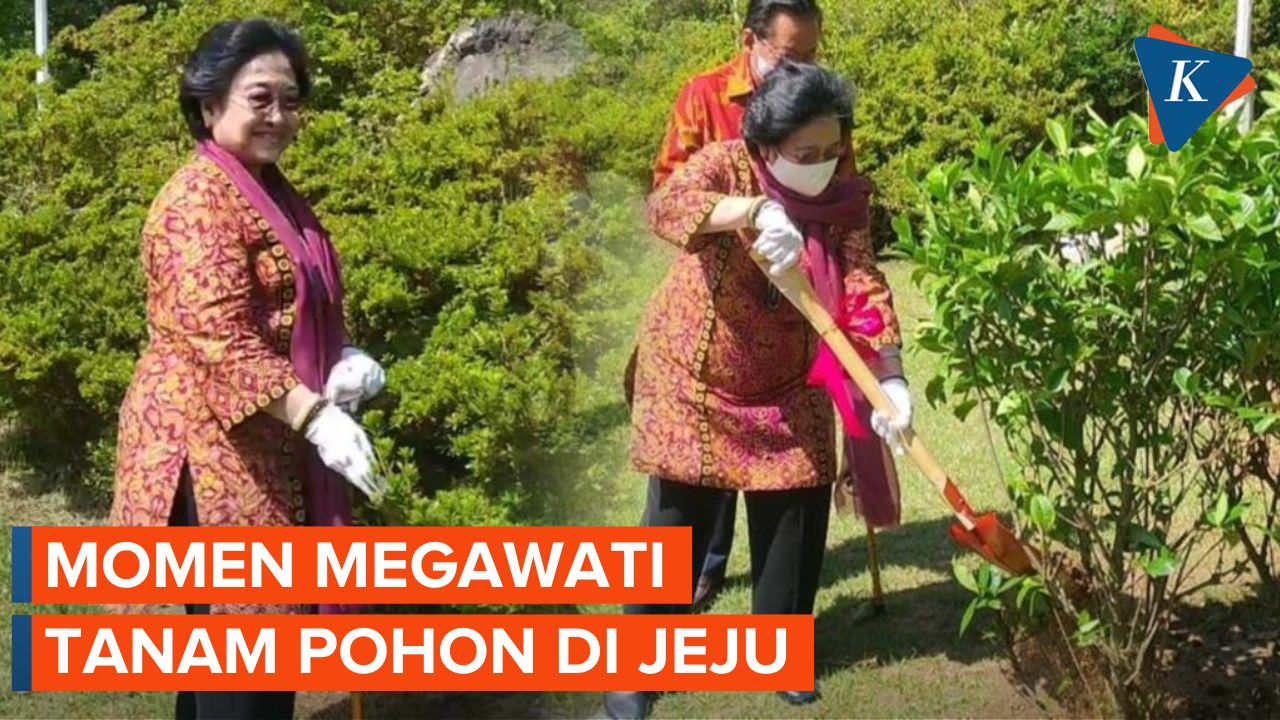 Tanam Pohon di Korsel, Megawati Singgung Bahaya Global Warming