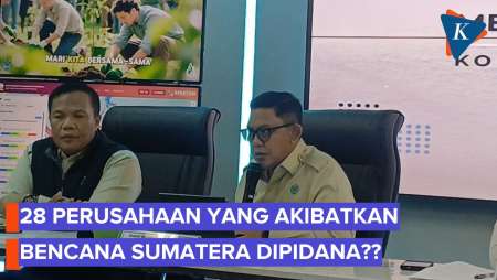 Izin 28 Perusahaan Dicabut karena Sebabkan Bencana, Akankah Dipidana?