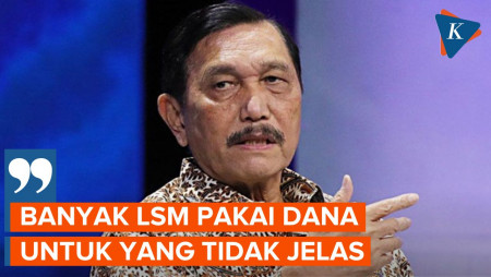 Luhut Ingin Audit Seluruh LSM di Indonesia, Kenapa?