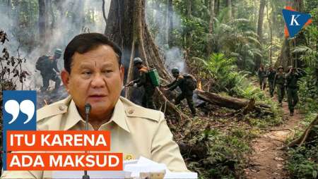 Prabowo Minta Siapkan 70 Ribu Polisi Hutan Untuk Antisipasi Karhutla
