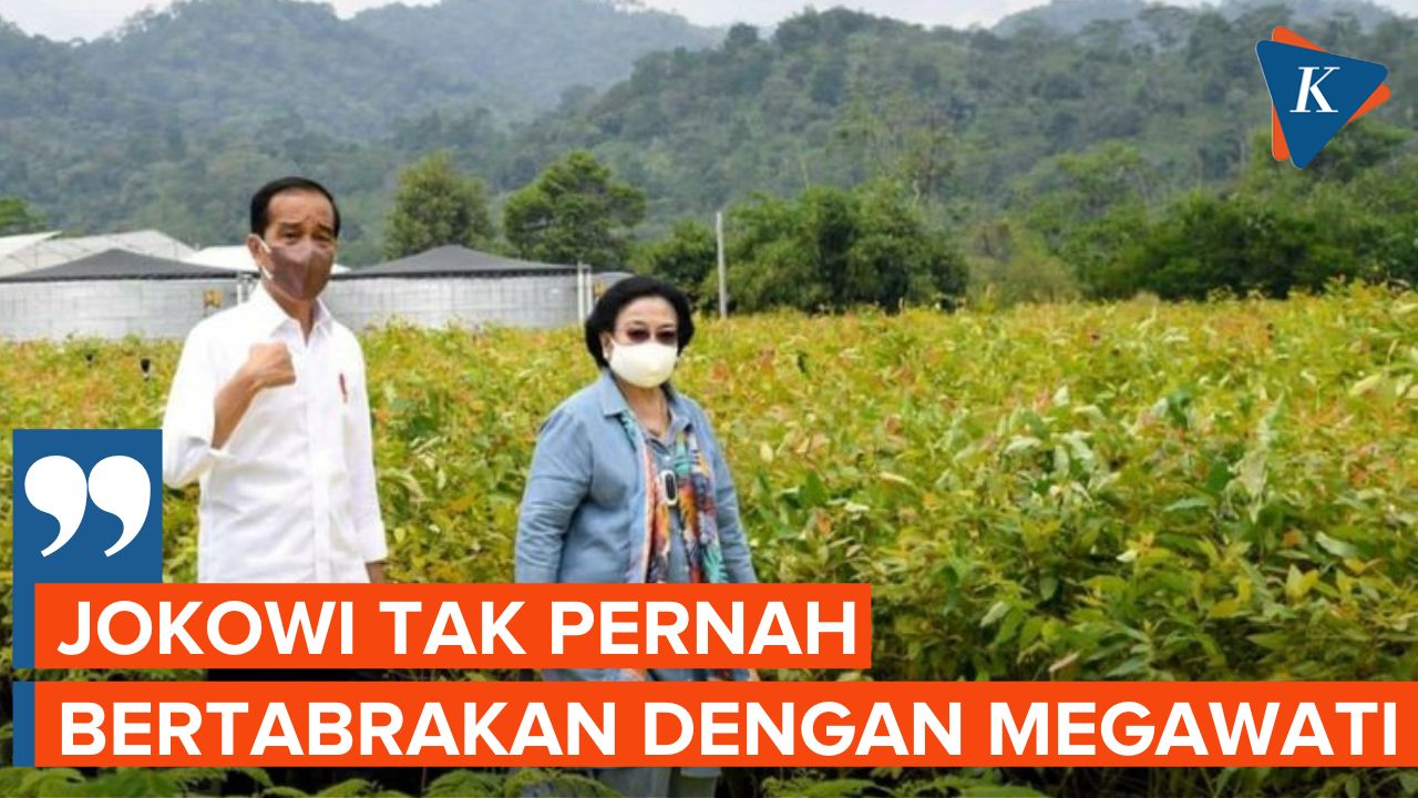 Ketua DPP PDI-P Tepis Rumor Hubungan Jokowi dan Megawati Renggang