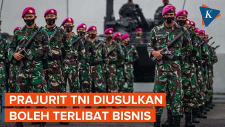 UU TNI Direvisi, Prajurit Usul Boleh Terlibat Kegiatan Bisnis