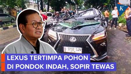 Lexus Tertimpa Pohon Tumbang Di Pondok Indah Tewaskan Sopir, Pramono Ucapkan Dukacita