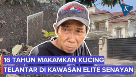 "Masa Diam Saja Lihat Kucing Mati Ditabrak," - Kisah Teguh 16 Tahun Kuburkan Anabul Tak Bertuan