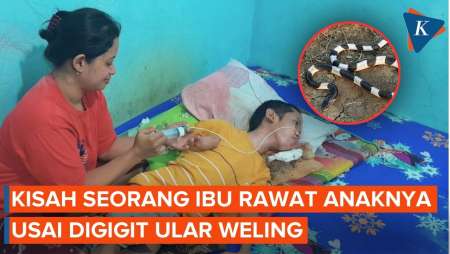 Delapan Tahun Perjuangan Ria Merawat Anak Yang Lumpuh Akibat Gigitan Ular Weling