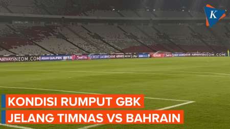 Kondisi Rumput GBK Jelang Timnas Vs Bahrain