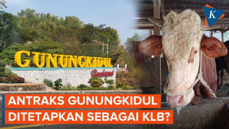 Kasus Antraks di Gunungkidul, Dinkes Sebut Sudah Bisa Dinyatakan KLB