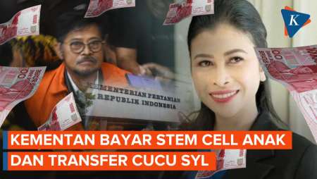 Biaya Stem Cell Rp 200 Juta Anak Syahrul Yasin Limpo Pun Dibayar Kementan! 