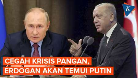 Cegah Krisis Pangan, Erdogan Akan Temui Putin