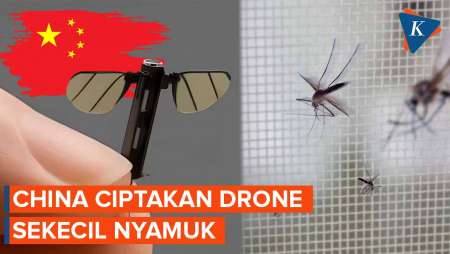 China Ciptakan Drone Mata-mata Sekecil Nyamuk, Mirip Buatan Universitas Harvard