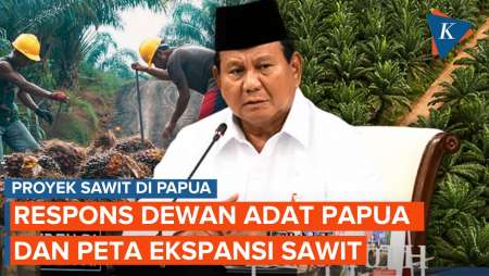 Prabowo Mau Tanam  Sawit Di Papua, Dewan Adat: Kami Tak Mau Wariskan Bencana Ke Anak-Cucu