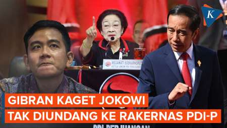 Jokowi Tak Diundang ke Rakernas PDI-P, Gibran: Masa Enggak?