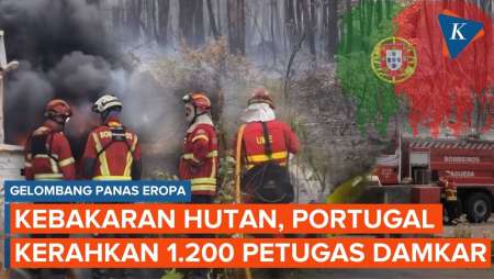 Gelombang Panas Eropa, Portugal Kerahkan 1.200 Petugas Pemadam Kebakaran