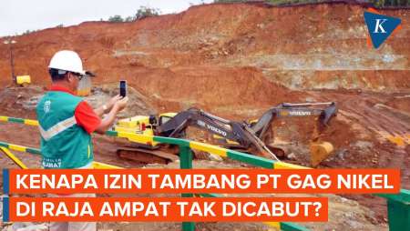 Izin Tambang PT Gag Nikel Satu-satunya yang Tak Dicabut di Raja Ampat, Apa Alasannya?