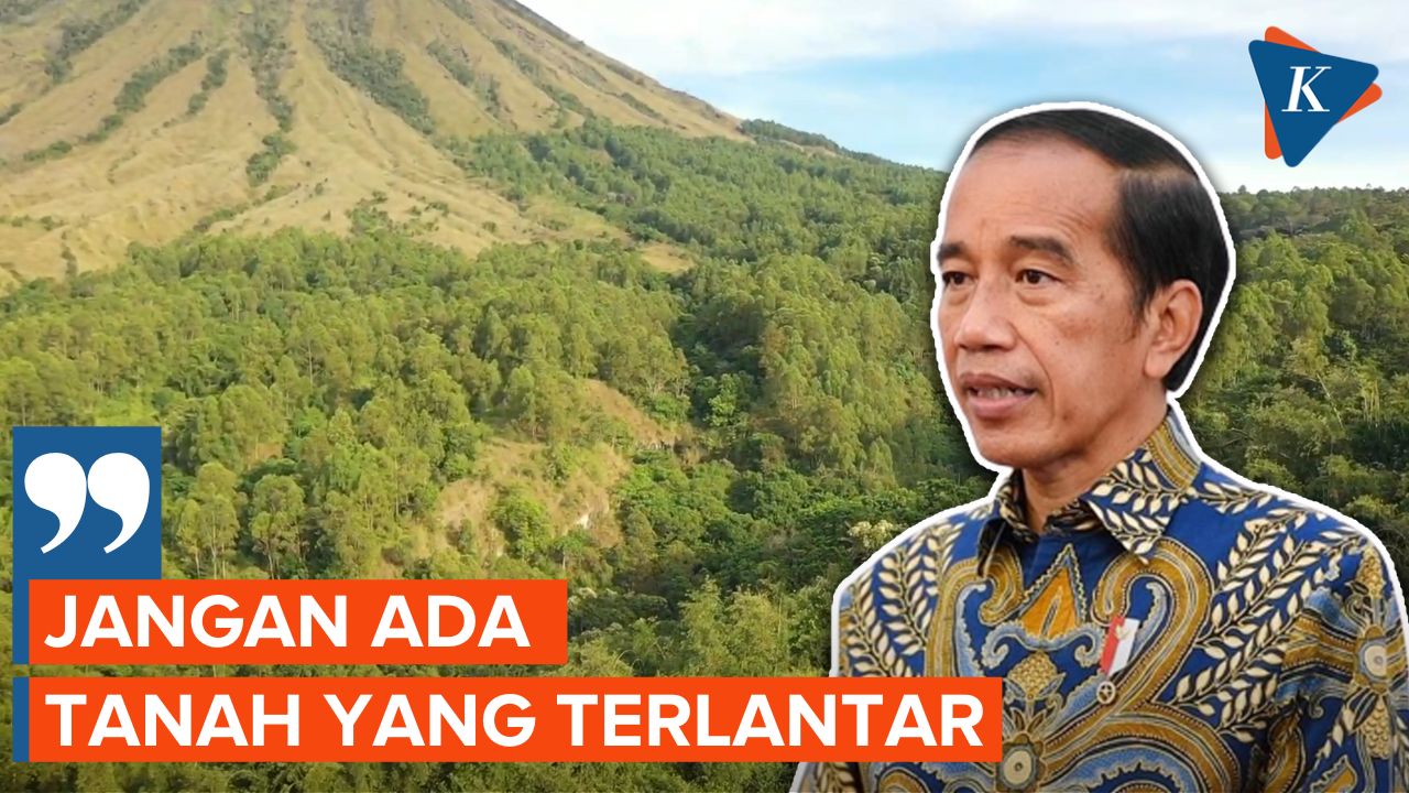 Jokowi Minta Tidak Ada Tanah Perhutanan yang Terlantar
