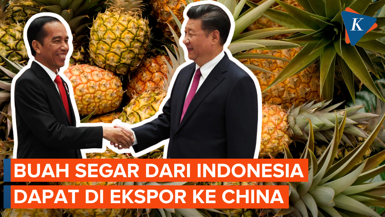 Ekspor Nanas akan Jadi Pembahasan Jokowi dan XI Jinping Hari Ini