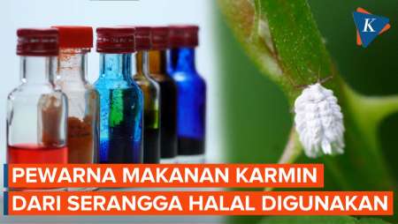 Ramai Pewarna Makanan Karmin, MUI Klaim Halal Digunakan