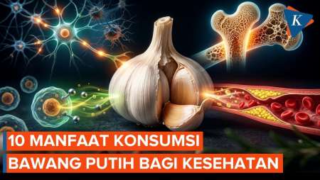 Manfaat Bawang Putih Yang Terbukti Secara Ilmiah