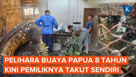 Warga Blitar Pelihara Buaya 8 Tahun, Kaget Sendiri Kini Panjangnya 3 Meter!