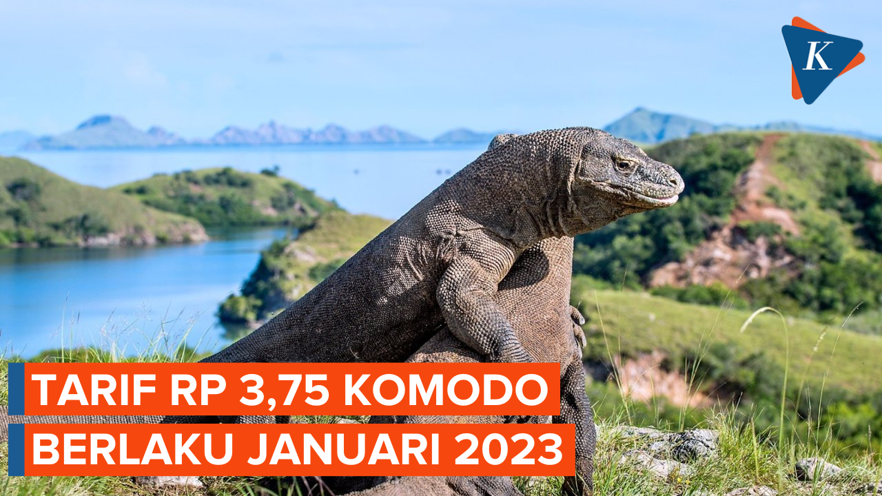 Pemprov NTT Sebut Tarif Masuk Pulau Komodo Rp 3,75 Juta Berlaku 1 Januari 2023