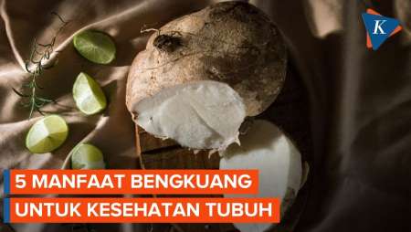 Manfaat Bengkuang Untuk Wajah Dan Kesehatan
