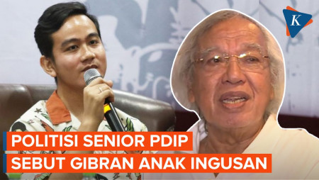 Jawaban Gibran Usai Disebut Anak Ingusan oleh Panda Nababan