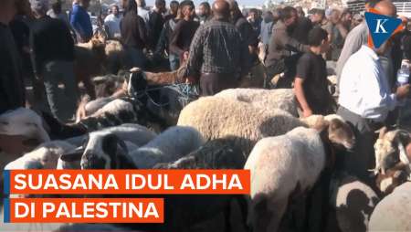 Suasana Idul Adha di Palestina, Kondisi Serba Terbatas, Hewan Kurban Langka dan Mahal