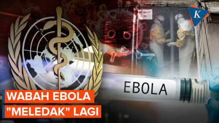 Wabah Ebola Meluas, WHO Gelar Rapat Darurat dan Tetapkan Status Darurat Global